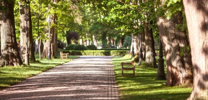 Palac Ciekocinko Hotel Resort & Wellness Kültér fotó